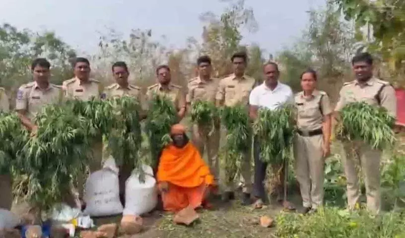 अच्छा उपदेश देने वाला व्यक्ति बगीचे में Marijuana की खेती करने लगा अच्छा उपदेश देने वाला व्यक्ति बगीचे में Marijuana की खेती करने लगा