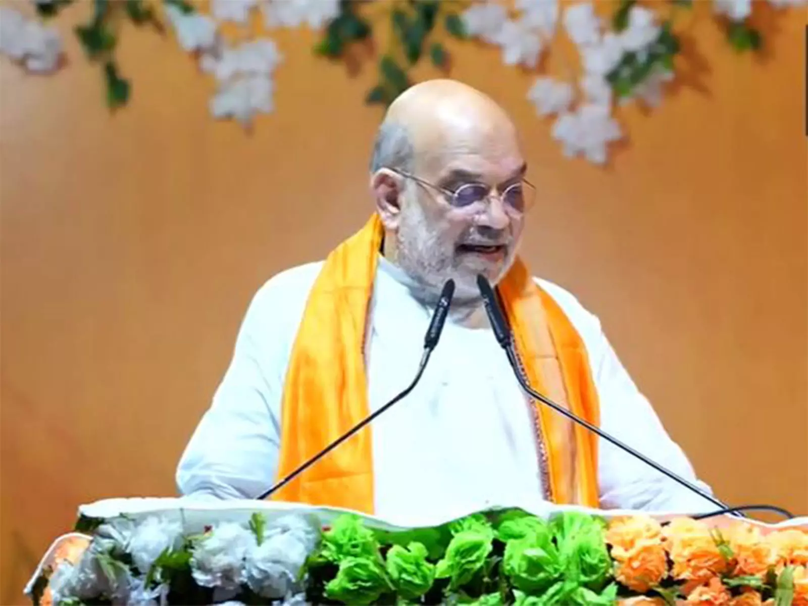 अमित शाह ने घुसपैठ के मुद्दे पर TMC की आलोचना की अमित शाह ने घुसपैठ के मुद्दे पर TMC की आलोचना की