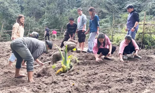 Sikkim: बीएसी पासिंगडांग ने आलू की खेती के लिए ‘कनेक्ट टू अर्थ’ अभियान शुरू