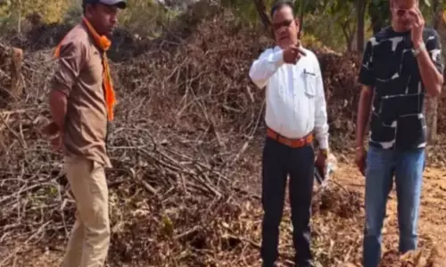 रेलवे ट्रैक में मादा चीतल की लाश मिली, मालगाड़ी से कटने की आशंका