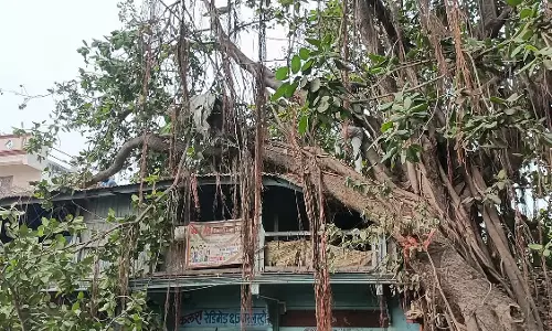 MP : पानसेमल में पुराने पेड़ घरों पर झुक गए, सुरक्षा को लेकर चिंता बढ़ी MP : पानसेमल में पुराने पेड़ घरों पर झुक गए, सुरक्षा को लेकर चिंता बढ़ी