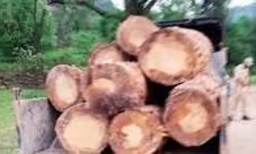 Jammu-Kashmir: खैर लकड़ी से भरा वाहन जब्त Jammu-Kashmir: खैर लकड़ी से भरा वाहन जब्त