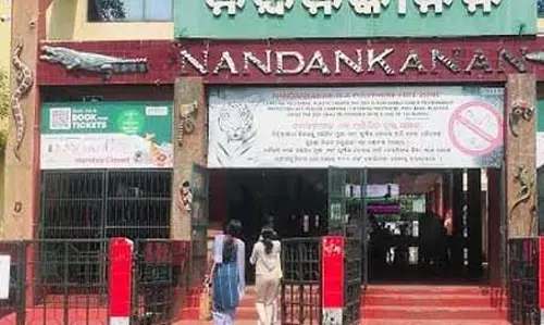 Nandankanan Zoo में पांच मगरमच्छों की मौत, कारण की जांच जारी