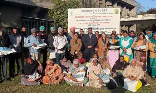 लुधियाना में PAU की एंटरप्रेन्योरशिप ट्रेनिंग से 25 लोगों को फायदा हुआ लुधियाना में PAU की एंटरप्रेन्योरशिप ट्रेनिंग से 25 लोगों को फायदा हुआ