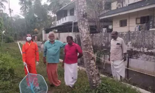 Kerala : आठ लोगों को कुत्तों ने काट लिया Kerala : आठ लोगों को कुत्तों ने काट लिया