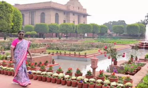 राष्ट्रपति द्रौपदी मुर्मू अमृत उद्यान के उद्घाटन में शामिल हुईं राष्ट्रपति द्रौपदी मुर्मू अमृत उद्यान के उद्घाटन में शामिल हुईं