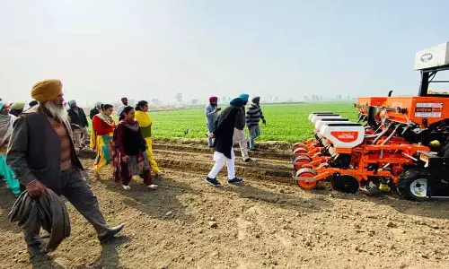 Ludhiana: सुनिश्चित करें कि किसानों को सही समय और सही कीमत पर मक्के के बीज मिलें