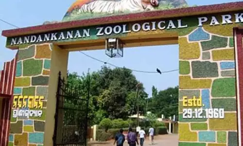 Odisha : नंदनकानन चिड़ियाघर में कई जानवरों की मौत; सिर्फ 8 दिनों में आठ जानवरों की मौत हो गई Odisha : नंदनकानन चिड़ियाघर में कई जानवरों की मौत; सिर्फ 8 दिनों में आठ जानवरों की मौत हो गई