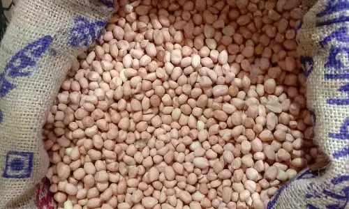 मूंगफली की कीमत ₹200 प्रति किलो हुई: दालें, काली मिर्च, मछली भी महंगी हो गई