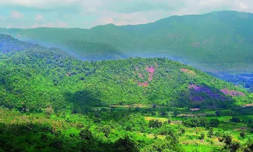 केंद्र सरकार आंध्र प्रदेश की अराकू घाटी और जम्मू-कश्मीर में माउंटेन ट्रेल्स विकसित करेगी केंद्र सरकार आंध्र प्रदेश की अराकू घाटी और जम्मू-कश्मीर में माउंटेन ट्रेल्स विकसित करेगी