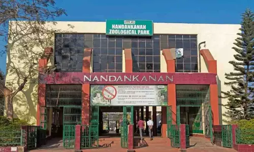 नंदनकानन में मगरमच्छों की मौत से चिंता, जांच में जुटा वन विभाग