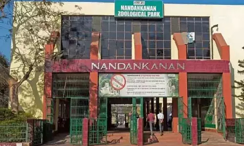 Nandankanan में आठ दिन में पांच मगरमच्छों की मौत, कारण पता करने जांच शुरू