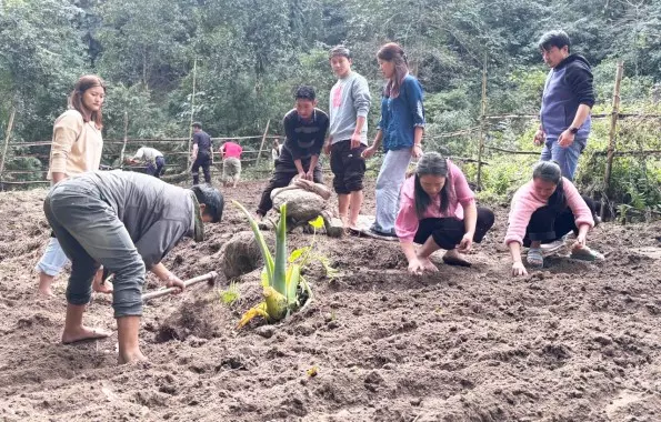 BAC पासिंगडांग ने आलू की खेती अभियान के साथ कनेक्ट टू अर्थ लॉन्च किया BAC पासिंगडांग ने आलू की खेती अभियान के साथ कनेक्ट टू अर्थ लॉन्च किया