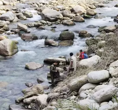 मत्स्य विभाग ने Sikkim की नदियों में ज़िंदा मांगुर मछली न छोड़ने की अपील की मत्स्य विभाग ने Sikkim की नदियों में ज़िंदा मांगुर मछली न छोड़ने की अपील की