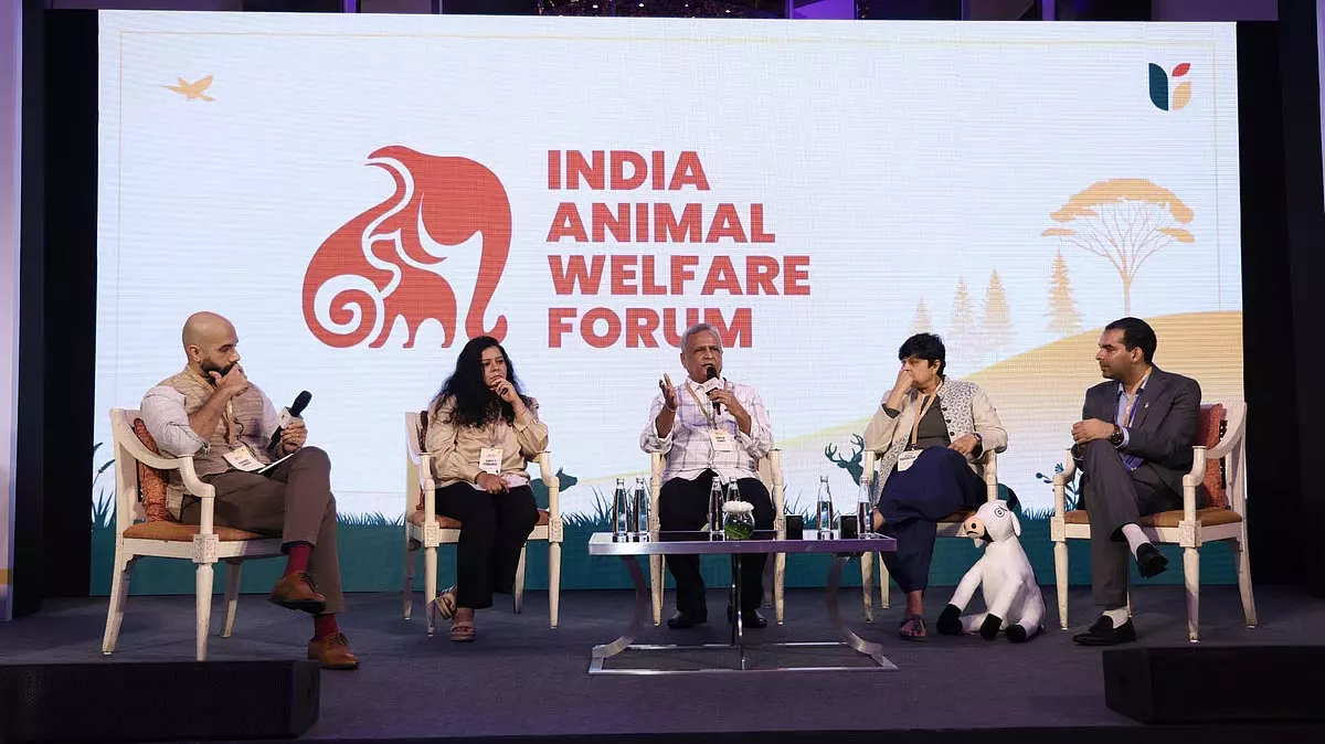 भारत ने CSR गैप को भरने और राष्ट्रीय सुरक्षा प्रयासों को मज़बूत करने के लिए ₹14 करोड़ का पशु कल्याण फंडिंग सर्कल लॉन्च किया भारत ने CSR गैप को भरने और राष्ट्रीय सुरक्षा प्रयासों को मज़बूत करने के लिए ₹14 करोड़ का पशु कल्याण फंडिंग सर्कल लॉन्च किया