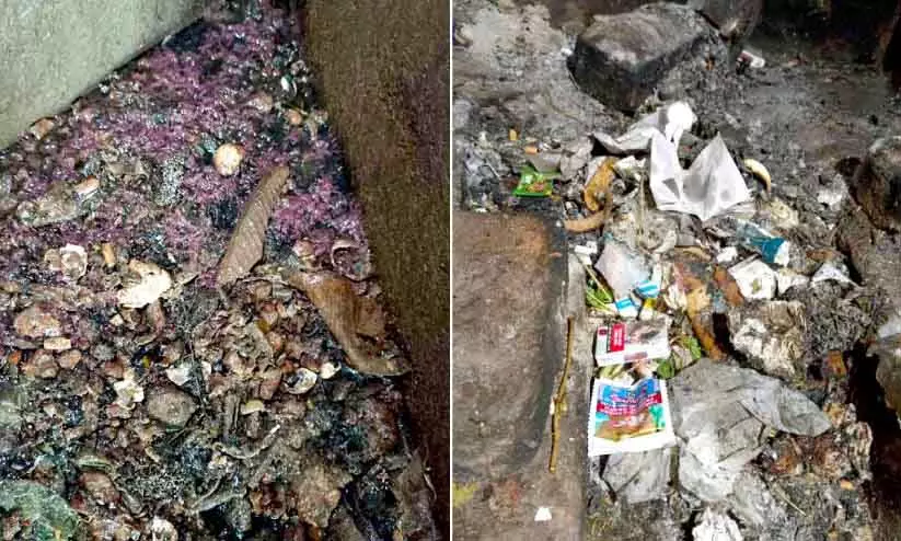 Kerala : एक प्राइवेट अस्पताल सहित तीन संस्थानों पर सीवेज फेंकने के लिए 25,000 रुपये का जुर्माना लगाया Kerala : एक प्राइवेट अस्पताल सहित तीन संस्थानों पर सीवेज फेंकने के लिए 25,000 रुपये का जुर्माना लगाया