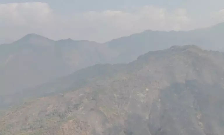 Arunachal में सस्टेनेबल खेती पर जोर, विधायक ने झूम खेती छोड़ने की अपील की Arunachal में सस्टेनेबल खेती पर जोर, विधायक ने झूम खेती छोड़ने की अपील की