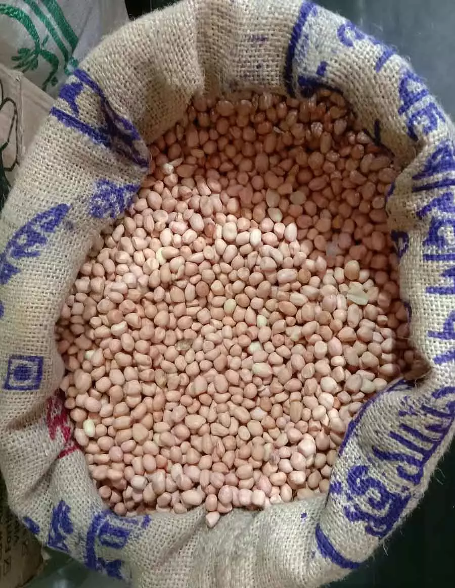 मूंगफली की कीमत ₹200 प्रति किलो हुई: दालें, काली मिर्च, मछली भी महंगी हो गई मूंगफली की कीमत ₹200 प्रति किलो हुई: दालें, काली मिर्च, मछली भी महंगी हो गई