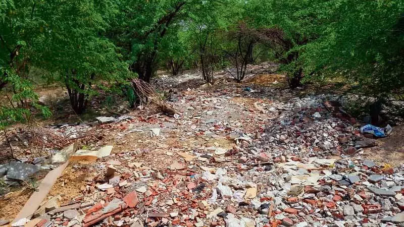 NGT ने कचरा डंपिंग को लेकर सरहिंद नगर निकाय और PPCB को फटकार लगाई NGT ने कचरा डंपिंग को लेकर सरहिंद नगर निकाय और PPCB को फटकार लगाई