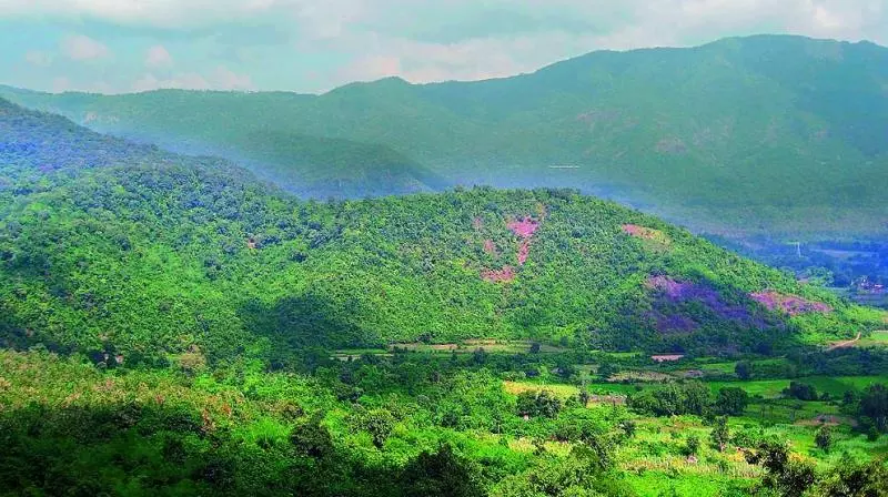 केंद्र सरकार आंध्र प्रदेश की अराकू घाटी और जम्मू-कश्मीर में माउंटेन ट्रेल्स विकसित करेगी केंद्र सरकार आंध्र प्रदेश की अराकू घाटी और जम्मू-कश्मीर में माउंटेन ट्रेल्स विकसित करेगी