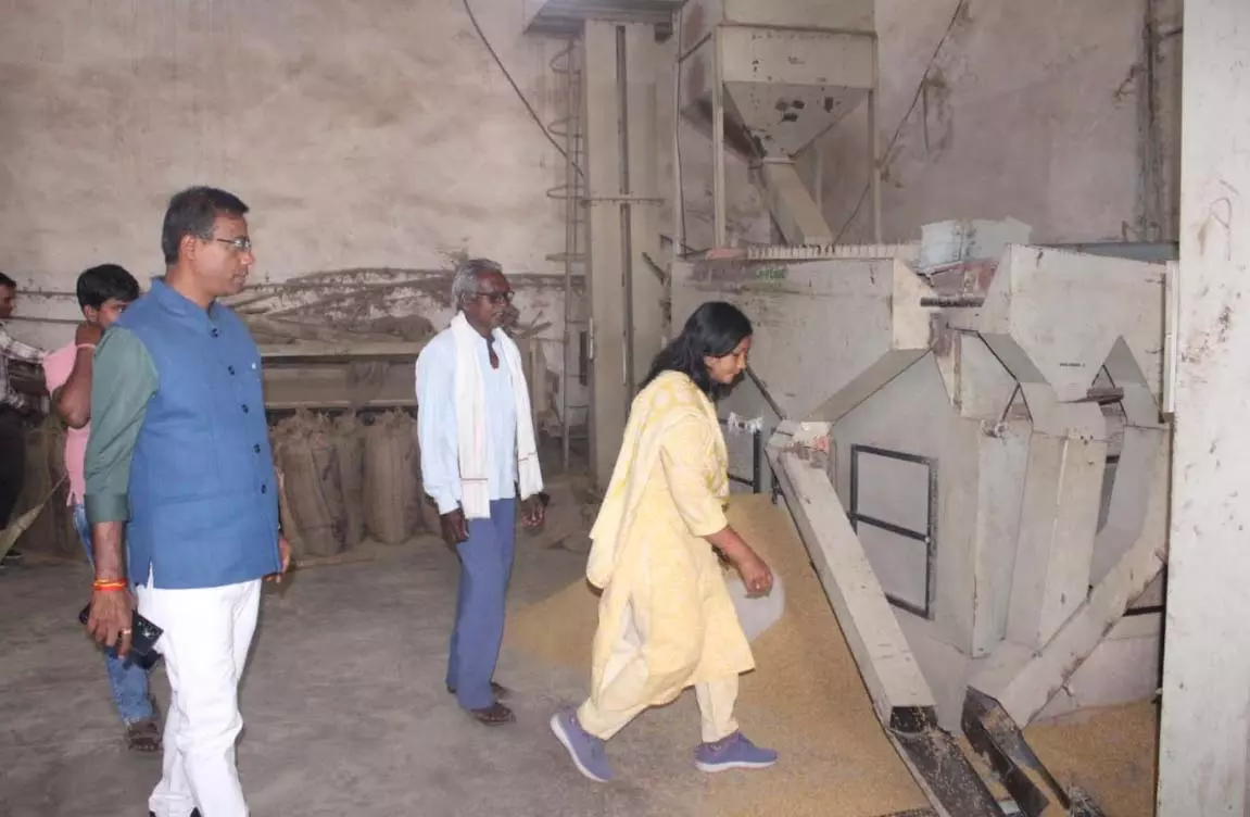 कलेक्टर डॉ. संजय कन्नौजे ने तोरना कोसा उत्पादन केन्द्र का किया निरीक्षण कलेक्टर डॉ. संजय कन्नौजे ने तोरना कोसा उत्पादन केन्द्र का किया निरीक्षण