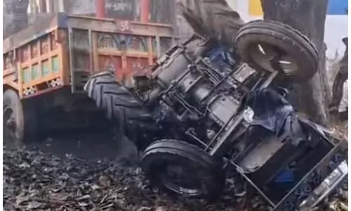 मौत को छूकर निकला ड्राइवर...कुत्ते को बचाने के प्रयास में क्या हुआ?
