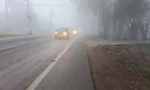 Haryana Weather : शीतलहर के साथ सताएगी ठंड, 8 जिलों में येलो अलर्ट जारी