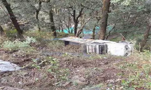 Uttarakhand:गहरी खाई में गिरा वाहन, मची अफरा-तफरी Uttarakhand:गहरी खाई में गिरा वाहन, मची अफरा-तफरी
