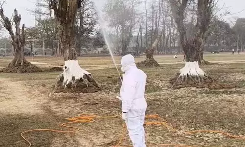 बर्ड फ्लू की पुष्टि के बाद अलर्ट, चिकन खाने वाले कृपया ध्यान दें बर्ड फ्लू की पुष्टि के बाद अलर्ट, चिकन खाने वाले कृपया ध्यान दें