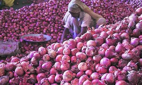 Chennai: पेरम्बलुर में किसानों ने प्याज़ की कीमतों में गिरावट पर सरकार से कार्रवाई की अपील