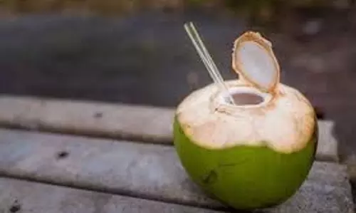 Coconut Water Benefits: रोजाना पिएं नारियल पानी, सेहत और त्वचा को मिलेंगे ये जबरदस्त फायदे Coconut Water Benefits: रोजाना पिएं नारियल पानी, सेहत और त्वचा को मिलेंगे ये जबरदस्त फायदे