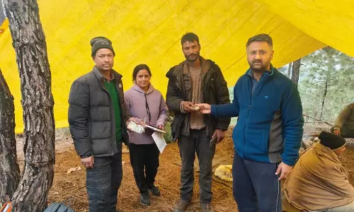 Himachal: सोलन के पास जंगलों में बिजली गिरने से 54 मवेशियों की मौत