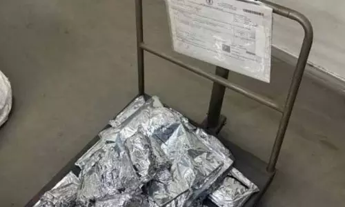 Ludhiana: कनाडा, US भेजे जा रहे सात पार्सल से 12 kg अफीम बरामद