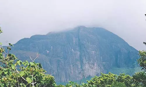 ट्रेकिंग, बर्डवॉचिंग ट्रेल्स से Tamil Nadu के ग्रीन टूरिज्म को बढ़ावा मिलेगा ट्रेकिंग, बर्डवॉचिंग ट्रेल्स से Tamil Nadu के ग्रीन टूरिज्म को बढ़ावा मिलेगा