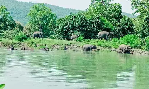 Bandipur में सुरंग: भारी विरोध प्रदर्शन शुरू Bandipur में सुरंग: भारी विरोध प्रदर्शन शुरू