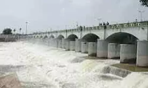 किसानों का कल्लानाई बांध से पानी छोड़ने की मांग को लेकर प्रदर्शन किसानों का कल्लानाई बांध से पानी छोड़ने की मांग को लेकर प्रदर्शन