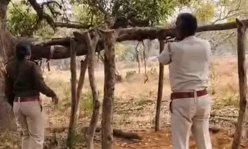 वन विभाग ने 254 नग सागौन लकड़ी किया जब्त, तस्करी नाकाम वन विभाग ने 254 नग सागौन लकड़ी किया जब्त, तस्करी नाकाम