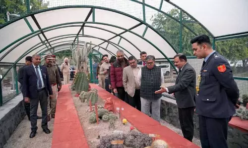 Kataria ने कहा, सारंगपुर बॉटनिकल गार्डन को टूरिस्ट डेस्टिनेशन के तौर पर विकसित करें Kataria ने कहा, सारंगपुर बॉटनिकल गार्डन को टूरिस्ट डेस्टिनेशन के तौर पर विकसित करें