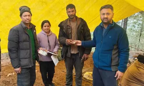 Solan में 54 मवेशियों की मौत