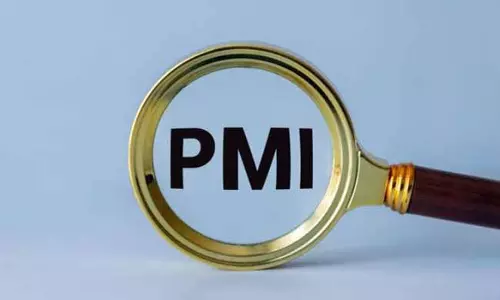 जनवरी में भारत के मैन्युफैक्चरिंग सेक्टर की एक्टिविटी में थोड़ी रिकवरी देखी गई: PMI जनवरी में भारत के मैन्युफैक्चरिंग सेक्टर की एक्टिविटी में थोड़ी रिकवरी देखी गई: PMI