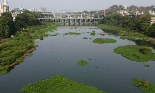 Pune की मूला-मुठा नदी में प्रदूषण गंभीर स्तर पर, ठोस कदम उठाने की योजना बनाई गई Pune की मूला-मुठा नदी में प्रदूषण गंभीर स्तर पर, ठोस कदम उठाने की योजना बनाई गई