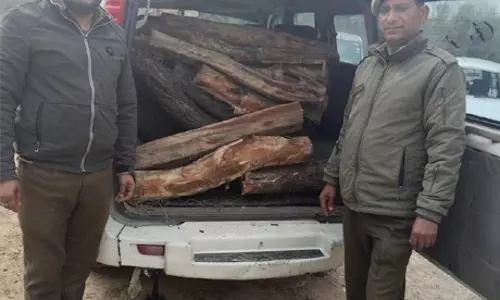 Jammu: प्रशासन ने अवैध खैर लकड़ी की गाड़ियां जब्त कीं Jammu: प्रशासन ने अवैध खैर लकड़ी की गाड़ियां जब्त कीं