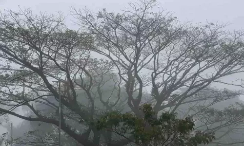गजपति में NH-326 पर घने कोहरे के कारण ट्रैफिक बाधित हुआ