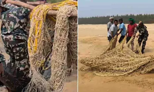 Puri में अस्तारंगा तट से 10 फुट के मगरमच्छ को सुरक्षित बचाया गया Puri में अस्तारंगा तट से 10 फुट के मगरमच्छ को सुरक्षित बचाया गया