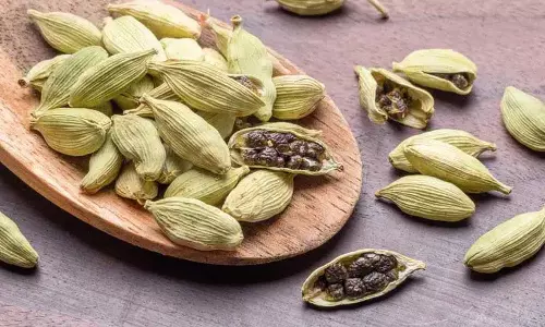 अगर आप खाना खाने के बाद इलायची खाते हैं तो क्या होता है? अगर आप खाना खाने के बाद इलायची खाते हैं तो क्या होता है?