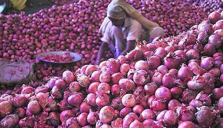 Chennai: पेरम्बलुर में किसानों ने प्याज़ की कीमतों में गिरावट पर सरकार से कार्रवाई की अपील Chennai: पेरम्बलुर में किसानों ने प्याज़ की कीमतों में गिरावट पर सरकार से कार्रवाई की अपील