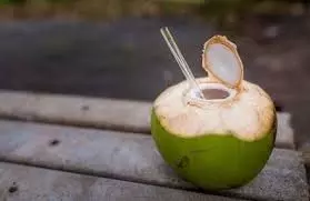 Coconut Water Benefits: रोजाना पिएं नारियल पानी, सेहत और त्वचा को मिलेंगे ये जबरदस्त फायदे Coconut Water Benefits: रोजाना पिएं नारियल पानी, सेहत और त्वचा को मिलेंगे ये जबरदस्त फायदे