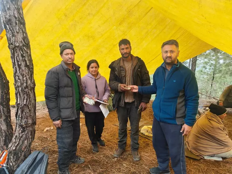 Himachal: सोलन के पास जंगलों में बिजली गिरने से 54 मवेशियों की मौत Himachal: सोलन के पास जंगलों में बिजली गिरने से 54 मवेशियों की मौत