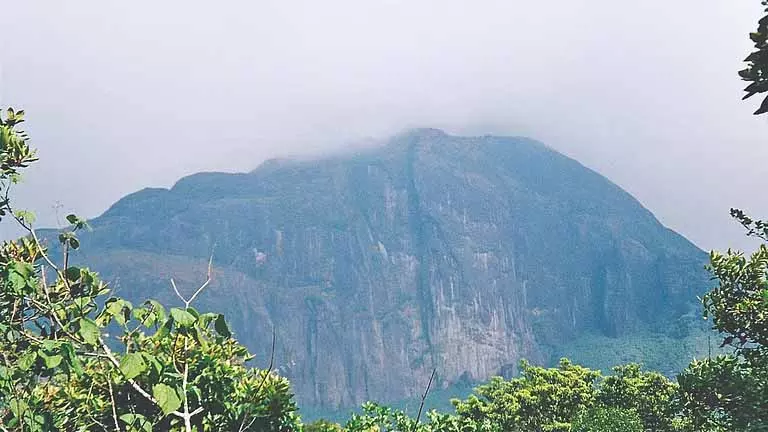 ट्रेकिंग, बर्डवॉचिंग ट्रेल्स से Tamil Nadu के ग्रीन टूरिज्म को बढ़ावा मिलेगा ट्रेकिंग, बर्डवॉचिंग ट्रेल्स से Tamil Nadu के ग्रीन टूरिज्म को बढ़ावा मिलेगा
