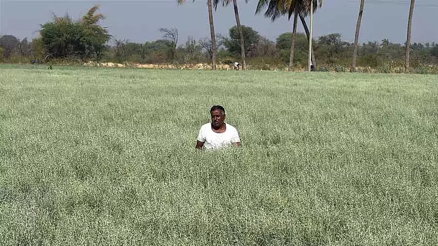 Gowribidanur : वह नदी जिसने किसानों के जीवन में खुशबू लाई Gowribidanur : वह नदी जिसने किसानों के जीवन में खुशबू लाई